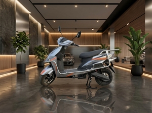 Scooter électrique NK E-BIKES Grey DL Wolf par Engtian Electric Bike Limited, autonomie 80-90 km, chargeur étanche, marche arrière. - Product Image 2