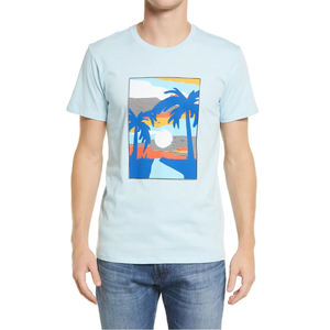 Camiseta Personalizada para Hombre OEM ODM, Logotipo Frontal, Algodón Premium, Todos los Colores y Tallas, Marca Privada, Venta al Por Mayor, Transpirable y Ecológica - Product Image 1