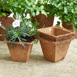 Macetas biodegradables de fibra de coco, naturales, respetuosas con el medio ambiente, cuadrado, bajo costo personalizado - Product Image 4