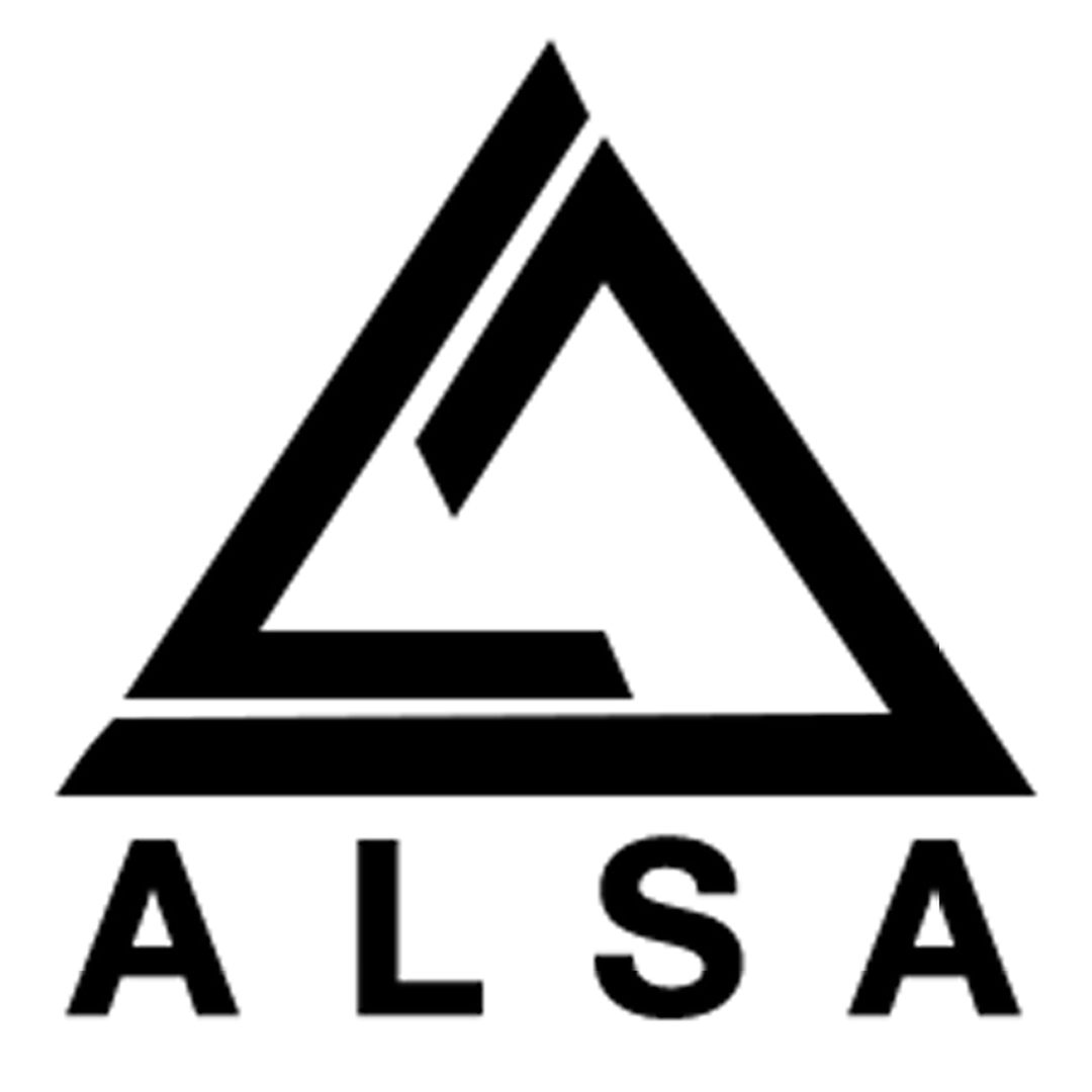 Alsa Paint LLC logo