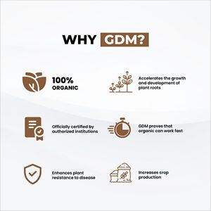 ปุ๋ยน้ำสาหร่าย GDM ออร์แกนิค 100% ธรรมชาติ 100% ปุ๋ยชีวภาพ สเปรย์ปุ๋ยน้ำสาหร่าย ออกฤทธิ์เร็ว NPK ปุ๋ยหมักดิน เพิ่มผลผลิต - Product Image 3