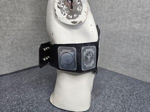 Ceinture de championnat en argent personnalisée avec logo, trophée de vainqueur avec design bouclier ailé, sangle en cuir originale - Product Image 6