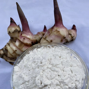 Best Price Arrowroot <b>Starch</b> Powder organic ingredient with smooth consistency ideal for cooking and bulk food production - Product Image 1