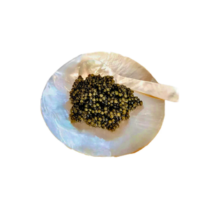 Assiette artisanale en nacre avec ensemble cuillère et fourchette, réutilisable, légère, ustensiles de fête classiques du Vietnam - Product Image 2