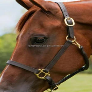 <b>Heavy</b> <b>Duty</b> Padded Leather Horse Halter in Black and Brown Genuine English Saddle leather with Nickel or Brass variant hardware - Product Image 6