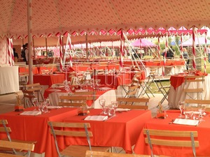 Corporate Event <b>Tent</b> <b>Large</b> Outdoor Marquee Setup - Product Image 5