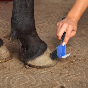 Pince à sabots de luxe en acier inoxydable avec poignée en caoutchouc et brosse à poils en nylon – Outil essentiel pour le toilettage des chevaux - Product Image 5