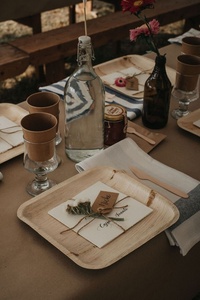 100% Natural Areca Leaf <b>Disposable</b> <b>Plates</b> 10 Inches Square Eco Friendly Tableware for Parties and Celebrations <b>Plates</b> Pack of 50 - Product Image 1