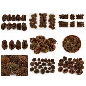 AQUA VRIKSHA Cápsulas de Casuarina Naturales para Acuarios, Peceras de Betta, Peceras de Camarones y Acuapaisajismo |   Paquete de 10 - Product Image 4
