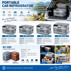 12L <b>Portable</b> Car <b>Fridge</b> Thermoelectric Refrigerator Freezer Heating Cooling Frost Free 12V 24V for Outdoor Travel - Product Image 4