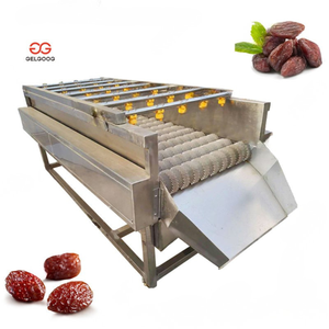 Date Processing Machine Washing Dry Machine 100kg/h Date Automatic Cleaning Sorting Equipment for Dried Fruit - Product Image 1