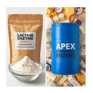 ผงเอนไซม์แลคตาส Apex สำหรับใช้ในอาหารนม คุณภาพสูง (10000-100000 ALU/GM) อายุการเก็บรักษา 12 เดือน ผลิตในอินเดีย - Product Image 1