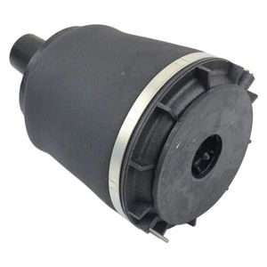 Molla ad aria posteriore destra per Cadillac DTS 4.6L (2006-2011) - Modello 15877066 - Ammortizzatore a molla - Product Image 3