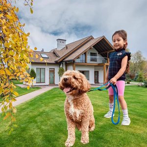 Laisse élastique pour <span class=keywords><strong>chien</strong></span> avec absorption des chocs, 2 poignées rembourrées, laisses d'entraînement réfléchissantes, laisse pour <span class=keywords><strong>chien</strong></span> avec clip pour siège de <span class=keywords><strong>voiture</strong></span> - Product Image 2