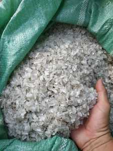 Écailles de poisson naturelles en vrac pour les acheteurs internationaux Vietnam - Product Image 5