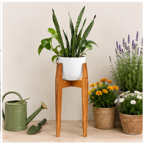 Handcrafted Modern Wooden Plant Stand Solid Hardwood Flower <b>Pot</b> <b>Holder</b> for Indoor Living Room & Balcony Decor - Product Image 4