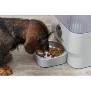 Comedero Automático Inteligente TX-C de 5L, Color Gris Claro, para Mascotas, 5 L/28  30  17 cm - Product Image 3