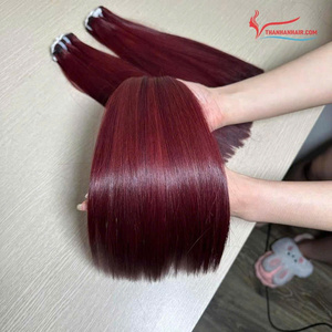 Paquetes de Cabello Humano Liso Natural de Color al por Mayor, Cabello Vietnamita, Tantavamente Brillante y Suave - Product Image 6