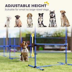 Attrezzatura per l'addestramento all'agility per cani - Product Image 3