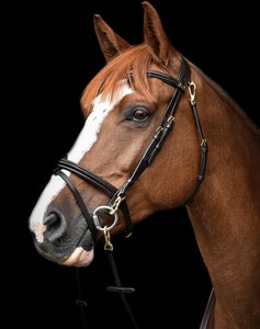 Brida de cuero para caballo con forma anatómica y acolchado suave, con parte trasera acolchada y costuras decorativas, con riendas, accesorios para caballo - Product Image 3