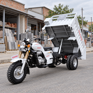 Triciclo de Carga Motorizado con Plataforma Hidráulica Abatible, Capacidad de Carga de 400 kg, Potencia Superior a 1000 W, Velocidad de 70 km/h, Capacidad de Subida de 15-20 Grados - Product Image 1