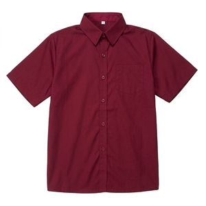 Camisa Escolar Personalizada al por Mayor para Niños, Uniforme Escolar Unisex de Manga Corta Blanca de Poliéster y Algodón Twill con Logotipo Bordado e Impreso - Product Image 2
