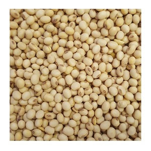 Stock al por mayor disponible de soja orgánica/frijoles de soja secos a precios de mayorista - Product Image 5