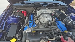 Motor AVL Fords V8 de 5.8L con cubiertas de válvulas AVL azules, nuevo motor de repuesto. - Product Image 3