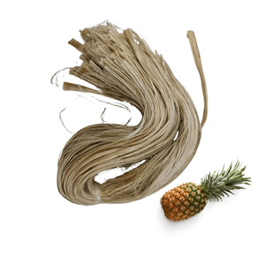Vietnam Manufacturer Supply Premium Quality Top Selling Dried <b>Pineapple</b> Leaf Fiber Packed in 5 kg Bag - Product Image 1