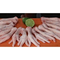 Pattes de poulet congelées de haute qualité, pack en gros à prix avantageux
