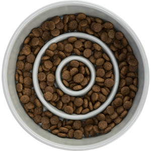 Tazón de Alimentación Lenta de Cerámica para Mascotas, 0.9 L, 17 cm de Diámetro, Color Azul Grisáceo - Product Image 4