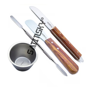 Juego de herramientas de laboratorio para esculpir y mezclar yeso dental con espátula, 4 bolas, CE, manual, instrumentos médicos quirúrgicos para dentistas - Product Image 1