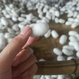 Capullos de Seda Natural Blanca, Fibra de Seda Suave y Ecológica para el Cuidado de la Piel y Manualidades - Product Image 2