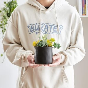 2 Grandi Piante Succulente Artificiali in Vasi di Ceramica Nera Opaca per Decorazione Scrivania, Camera da Letto, Soggiorno o Bagno - Product Image 2