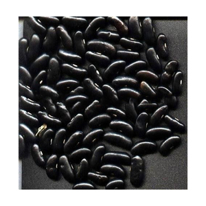 Haricots noirs longs séchés, biologiques, vente en gros, durée de conservation de 2 ans - Product Image 5