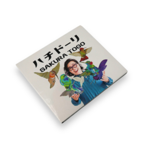Digipak CD personnalisé à quatre panneaux avec plateau en plastique durable et emballage d'impression de qualité supérieure pour l'affichage d'albums musicaux - Product Image 5
