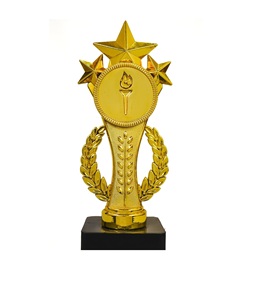 Wooden Memento 1st 2nd 3rd Place Awards Customizable Recognition <b>Trophy</b> for Sports Academics & Competitions set of 3 - Product Image 3
