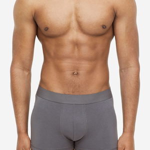 Hot Sale Breathable Ice <b>Silk</b> Mid-Rise Knitted Sexy Men <b>Boxers</b> Briefs Transparent Modal Underwear - Product Image 6