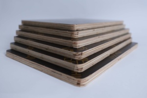 Promax Film Faced Plywood Construction Grade Film Faced Plywood with Melamine <b>Glue</b> for Formwork - Product Image 3