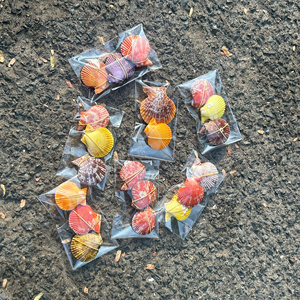 ของตกแต่งเปลือกหอย ของที่ระลึกเปลือกหอยเป๋าฮื้อ งานแฮนด์เมด ของขวัญจากเวียดนาม โรงงานขายส่ง รับทำป้ายสินค้าตามสั่ง ชามเปลือกหอยแขวน - Product Image 2