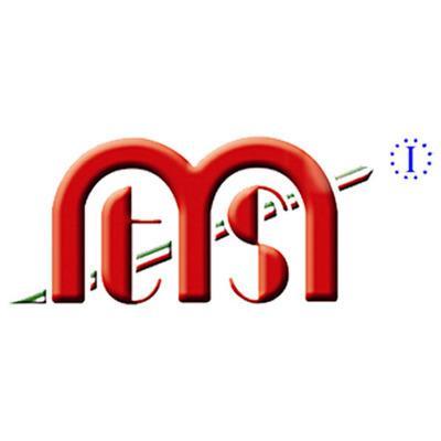 MTS SRL logo