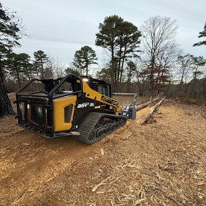 Hydraulic ASV Skid Steer Loader <b>Mulcher</b> High Load Moment Diesel Powered Engine Motor Pump 15.7-37kW Power Crawler Drive - Product Image 1