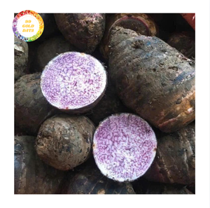 Venta al por mayor de trozos de taro congelado, vegetal, natural y energético, para compras a granel. Suministro profesional para empresas internacionales de comercio alimentario. - Product Image 6