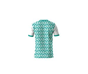 T-shirt graphique personnalisé à manches courtes col rond en polyester léger 210g imprimé par sublimation de haute qualité pour hommes et femmes, style décontracté - Product Image 6