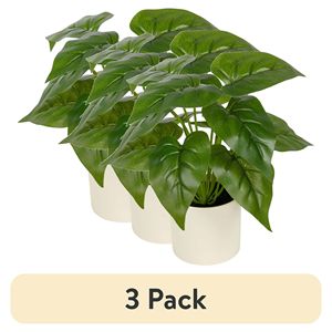Set di 3 Piante Artificiali di Philodendron in Vaso Bianco da 10x4 Pollici, Verdi per Uso Interno - Product Image 1