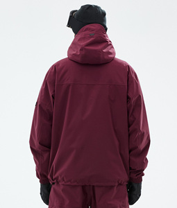 Veste de ski et snowboard professionnelle 2026 personnalisée, imperméable, coupe-vent, isolée, pour l'extérieur, vêtements de ski d'hiver, fabricant OEM ODM - Product Image 2