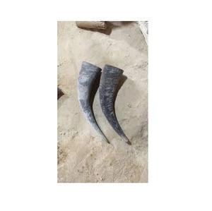 Cuerno Natural Crudo de Búfalo y Punta de Cuerno en Colores Negro y Natural para Tamaños y Cuernos Personalizados - Product Image 1