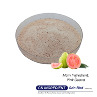 Seracol Beste Leverancier Garantie Guava Roze Sappoeder Premium Kwaliteit Halal OEM B2B Top Verkoop Natuurlijke Tropische Smaak Drank