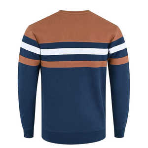 Sweat-shirt pour homme personnalisé OEM ODM de haute qualité, prix d'usine, doux, confortable, respirant, 300g, vêtements décontractés d'hiver, fabricant en gros - Product Image 2