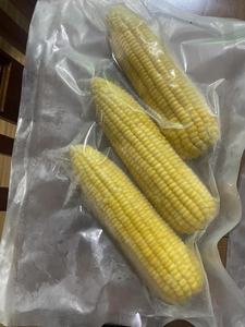 Maíz Hervido Congelado / Maíz Dulce Congelado, Se Aceptan Pedidos OEM, Maíz Dulce Amarillo para Exportación con Buena Calidad - Product Image 4